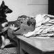 Petra, the Alsatian dog from the B.B.C’s children’s program Blue Peter answering her fan mail. (Photo: John Pratt/Getty Images)